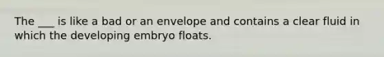 The ___ is like a bad or an envelope and contains a clear fluid in which the developing embryo floats.