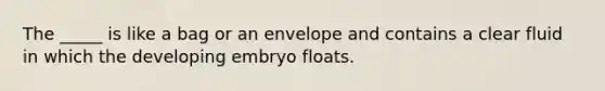 The _____ is like a bag or an envelope and contains a clear fluid in which the developing embryo floats.