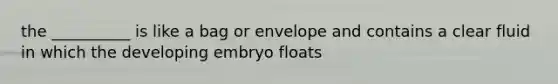 the __________ is like a bag or envelope and contains a clear fluid in which the developing embryo floats