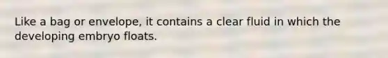 Like a bag or envelope, it contains a clear fluid in which the developing embryo floats.