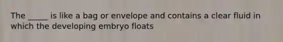 The _____ is like a bag or envelope and contains a clear fluid in which the developing embryo floats