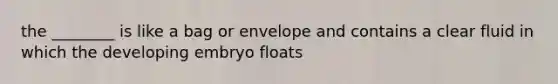 the ________ is like a bag or envelope and contains a clear fluid in which the developing embryo floats