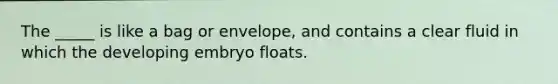 The _____ is like a bag or envelope, and contains a clear fluid in which the developing embryo floats.