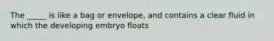 The _____ is like a bag or envelope, and contains a clear fluid in which the developing embryo floats