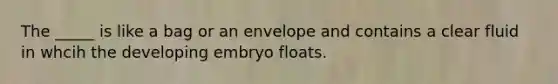 The _____ is like a bag or an envelope and contains a clear fluid in whcih the developing embryo floats.