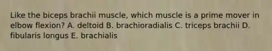 Like the biceps brachii muscle, which muscle is a prime mover in elbow flexion? A. deltoid B. brachioradialis C. triceps brachii D. fibularis longus E. brachialis