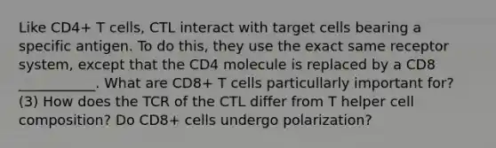 Like CD4+ T cells, CTL interact with target cells bearing a specific antigen. To do this, they use the exact same receptor system, except that the CD4 molecule is replaced by a CD8 ___________. What are CD8+ T cells particullarly important for? (3) How does the TCR of the CTL differ from T helper cell composition? Do CD8+ cells undergo polarization?