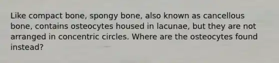 Like compact bone, spongy bone, also known as cancellous bone, contains osteocytes housed in lacunae, but they are not arranged in concentric circles. Where are the osteocytes found instead?