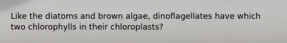 Like the diatoms and brown algae, dinoflagellates have which two chlorophylls in their chloroplasts?