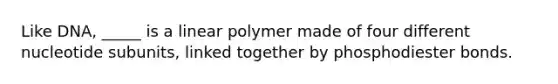 Like DNA, _____ is a linear polymer made of four different nucleotide subunits, linked together by phosphodiester bonds.