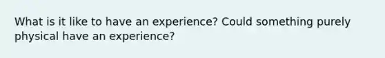 What is it like to have an experience? Could something purely physical have an experience?