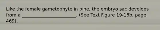 Like the female gametophyte in pine, the embryo sac develops from a ________________________. (See Text Figure 19-18b, page 469).