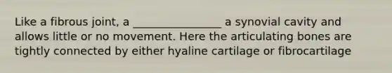 Like a fibrous joint, a ________________ a synovial cavity and allows little or no movement. Here the articulating bones are tightly connected by either hyaline cartilage or fibrocartilage