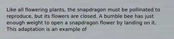 Like all flowering plants, the snapdragon must be pollinated to reproduce, but its flowers are closed. A bumble bee has just enough weight to open a snapdragon flower by landing on it. This adaptation is an example of