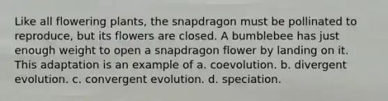 Like all flowering plants, the snapdragon must be pollinated to reproduce, but its flowers are closed. A bumblebee has just enough weight to open a snapdragon flower by landing on it. This adaptation is an example of a. coevolution. b. divergent evolution. c. convergent evolution. d. speciation.