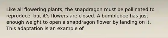 Like all flowering plants, the snapdragon must be pollinated to reproduce, but it's flowers are closed. A bumblebee has just enough weight to open a snapdragon flower by landing on it. This adaptation is an example of