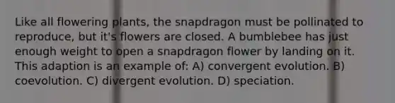 Like all flowering plants, the snapdragon must be pollinated to reproduce, but it's flowers are closed. A bumblebee has just enough weight to open a snapdragon flower by landing on it. This adaption is an example of: A) convergent evolution. B) coevolution. C) divergent evolution. D) speciation.