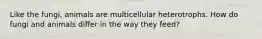 Like the fungi, animals are multicellular heterotrophs. How do fungi and animals differ in the way they feed?