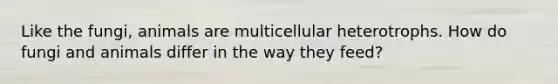 Like the fungi, animals are multicellular heterotrophs. How do fungi and animals differ in the way they feed?