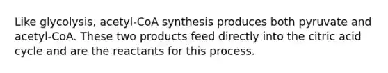 Like glycolysis, acetyl-CoA synthesis produces both pyruvate and acetyl-CoA. These two products feed directly into the citric acid cycle and are the reactants for this process.