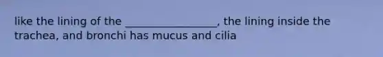 like the lining of the _________________, the lining inside the trachea, and bronchi has mucus and cilia