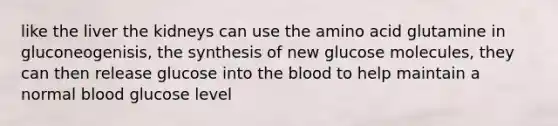 like the liver the kidneys can use the amino acid glutamine in gluconeogenisis, the synthesis of new glucose molecules, they can then release glucose into the blood to help maintain a normal blood glucose level