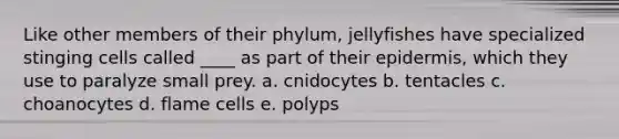 Like other members of their phylum, jellyfishes have specialized stinging cells called ____ as part of their epidermis, which they use to paralyze small prey. a. cnidocytes b. tentacles c. choanocytes d. flame cells e. polyps