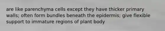 are like parenchyma cells except they have thicker primary walls; often form bundles beneath the epidermis; give flexible support to immature regions of plant body