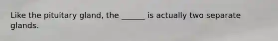 Like the pituitary gland, the ______ is actually two separate glands.