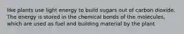 like plants use light energy to build sugars out of carbon dioxide. The energy is stored in the chemical bonds of the molecules, which are used as fuel and building material by the plant