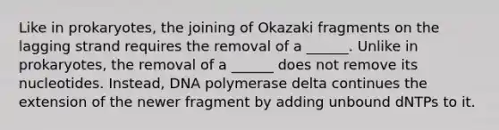 Like in prokaryotes, the joining of Okazaki fragments on the lagging strand requires the removal of a ______. Unlike in prokaryotes, the removal of a ______ does not remove its nucleotides. Instead, DNA polymerase delta continues the extension of the newer fragment by adding unbound dNTPs to it.