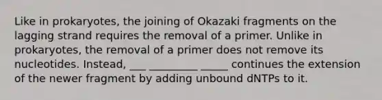 Like in prokaryotes, the joining of Okazaki fragments on the lagging strand requires the removal of a primer. Unlike in prokaryotes, the removal of a primer does not remove its nucleotides. Instead, ___ _________ _____ continues the extension of the newer fragment by adding unbound dNTPs to it.