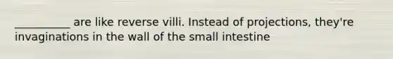 __________ are like reverse villi. Instead of projections, they're invaginations in the wall of <a href='https://www.questionai.com/knowledge/kt623fh5xn-the-small-intestine' class='anchor-knowledge'>the small intestine</a>