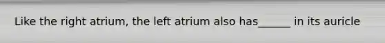 Like the right atrium, the left atrium also has______ in its auricle