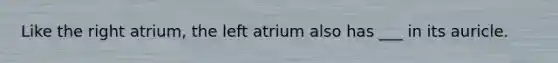 Like the right atrium, the left atrium also has ___ in its auricle.