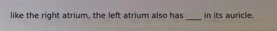 like the right atrium, the left atrium also has ____ in its auricle.