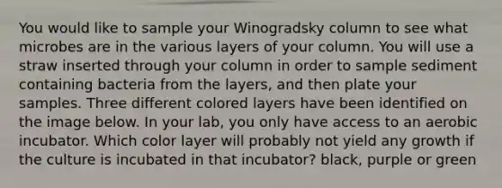 You would like to sample your Winogradsky column to see what microbes are in the various layers of your column. You will use a straw inserted through your column in order to sample sediment containing bacteria from the layers, and then plate your samples. Three different colored layers have been identified on the image below. In your lab, you only have access to an aerobic incubator. Which color layer will probably not yield any growth if the culture is incubated in that incubator? black, purple or green