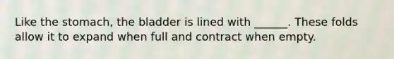 Like the stomach, the bladder is lined with ______. These folds allow it to expand when full and contract when empty.