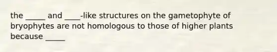 the _____ and ____-like structures on the gametophyte of bryophytes are not homologous to those of higher plants because _____