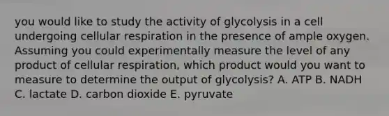 you would like to study the activity of glycolysis in a cell undergoing cellular respiration in the presence of ample oxygen. Assuming you could experimentally measure the level of any product of cellular respiration, which product would you want to measure to determine the output of glycolysis? A. ATP B. NADH C. lactate D. carbon dioxide E. pyruvate