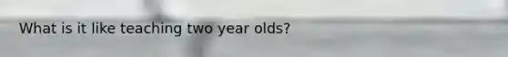 What is it like teaching two year olds?