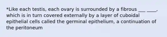 *Like each testis, each ovary is surrounded by a fibrous ___ ____, which is in turn covered externally by a layer of cuboidal epithelial cells called the germinal epithelium, a continuation of the peritoneum