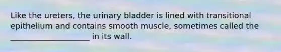 Like the ureters, the <a href='https://www.questionai.com/knowledge/kb9SdfFdD9-urinary-bladder' class='anchor-knowledge'>urinary bladder</a> is lined with transitional epithelium and contains smooth muscle, sometimes called the ____________________ in its wall.