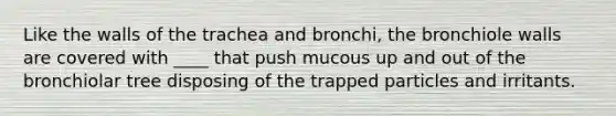 Like the walls of the trachea and bronchi, the bronchiole walls are covered with ____ that push mucous up and out of the bronchiolar tree disposing of the trapped particles and irritants.