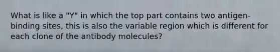 What is like a "Y" in which the top part contains two antigen-binding sites, this is also the variable region which is different for each clone of the antibody molecules?