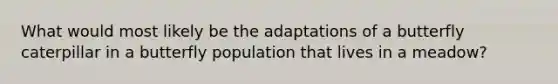 What would most likely be the adaptations of a butterfly caterpillar in a butterfly population that lives in a meadow?