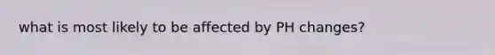 what is most likely to be affected by PH changes?