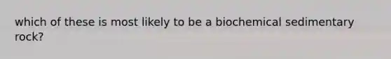 which of these is most likely to be a biochemical sedimentary rock?
