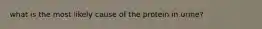what is the most likely cause of the protein in urine?