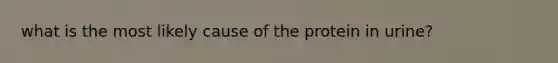 what is the most likely cause of the protein in urine?
